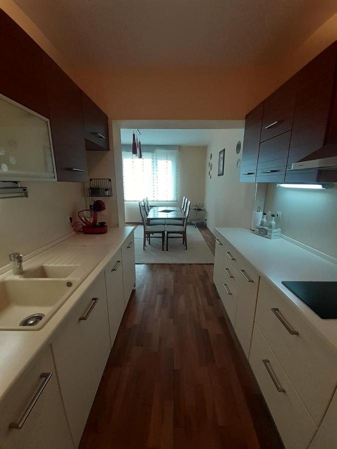 Statevi Guest Apartment Velingrad Dış mekan fotoğraf
